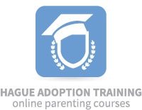 Hague Adoption Training Online