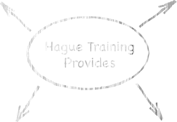 Hague Adoption Training Provides